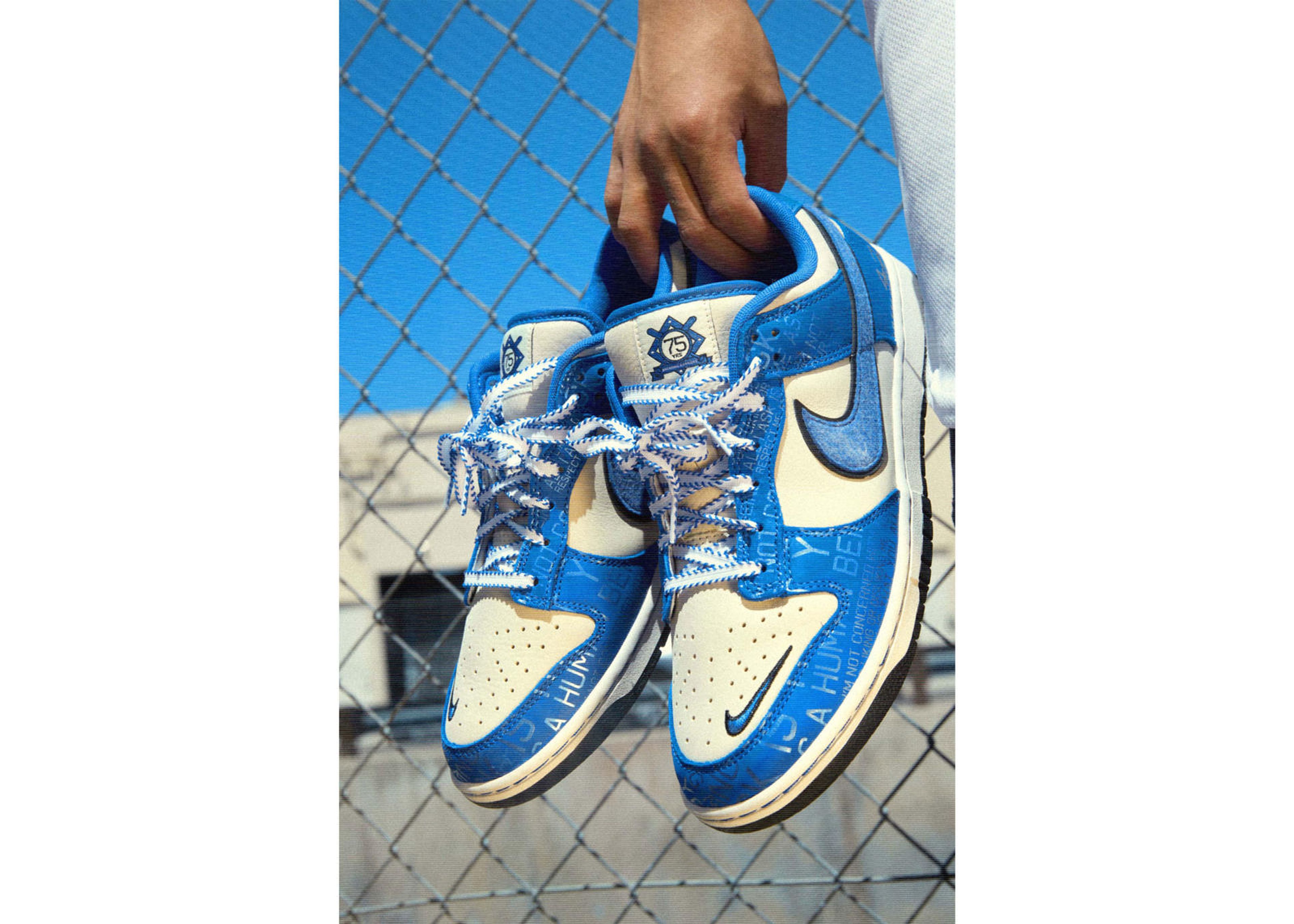 Nikenews Nikedunklow Jr 1 110374